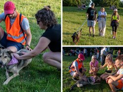 Łódź. Psia Polówka na Widzewskiej Górce. Psiaki przejęły dowodzenie!
