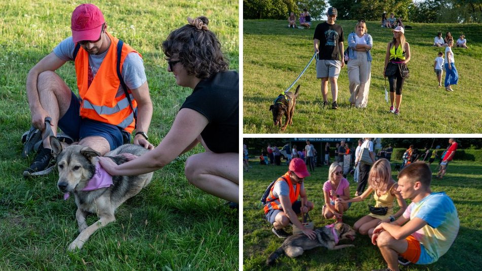 Łódź. Psia Polówka na Widzewskiej Górce. Psiaki przejęły dowodzenie!