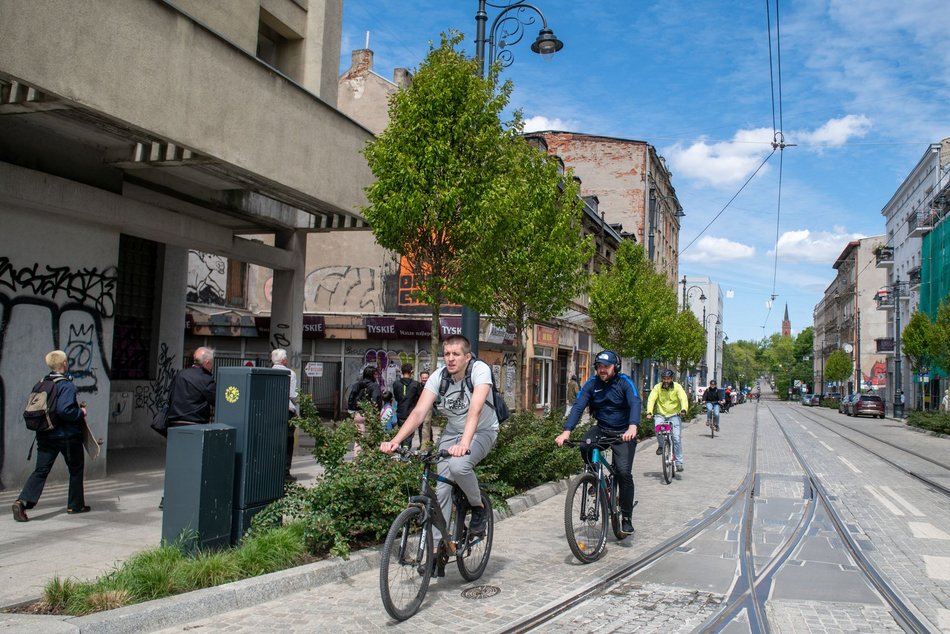 Nowe drzewa na Legionów, Nowomiejskiej i Sterlinga w Łodzi. Śródmieście coraz bardziej zielone!