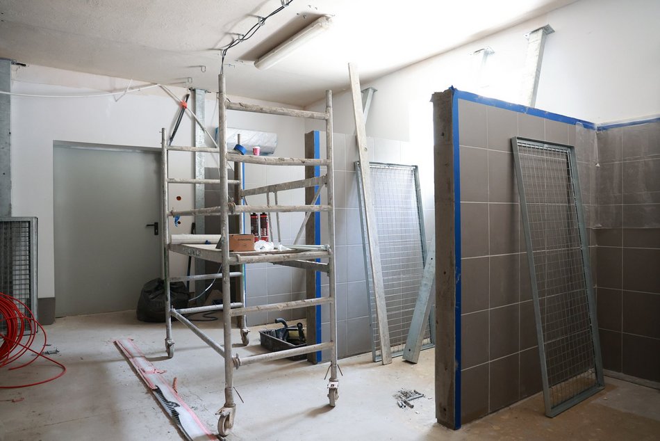 Wielki remont w schronisku w Łodzi dobiega końca