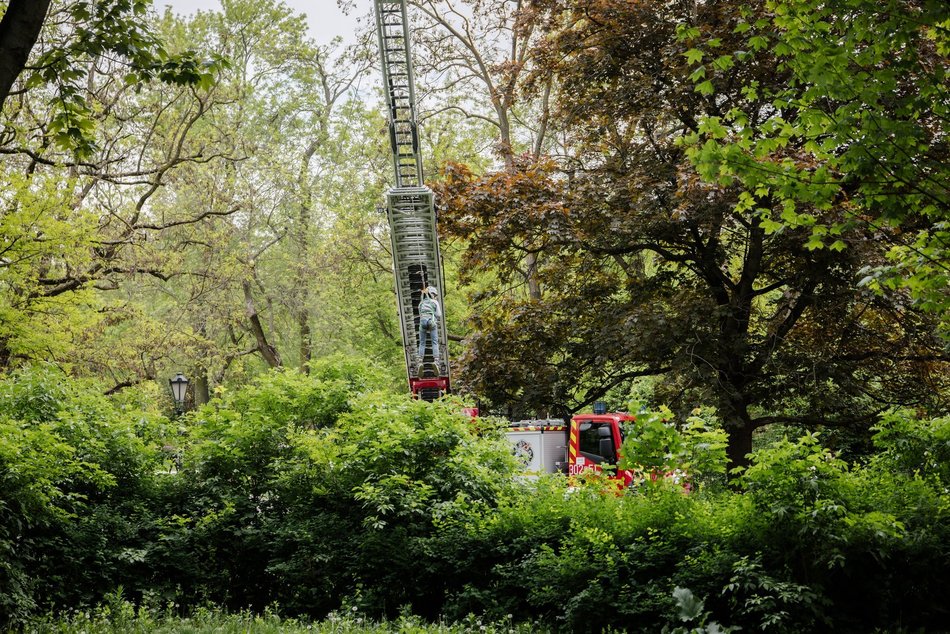 Łodzianie świętują 150-lecie Straży Pożarnej w Łodzi. Piknik, warsztaty i pokazy