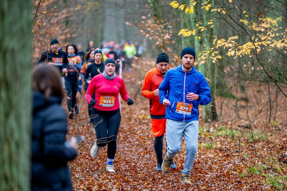 Cookie Run w Lesie Łagiewnickim w Łodzi