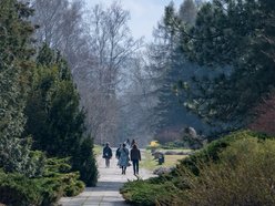 Wiosenny Ogród Botaniczny w Łodzi. Spacer wśród budzącej się do życia przyrody