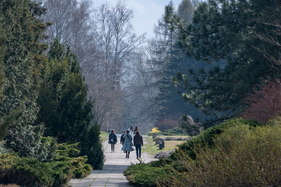 Wiosenny Ogród Botaniczny w Łodzi. Spacer wśród budzącej się do życia przyrody