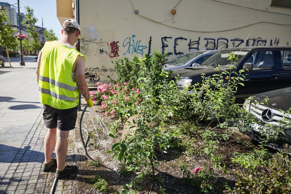 Łódź. Walka z suszą w Łodzi. Miasto intensywnie podlewa młodą zieleń
