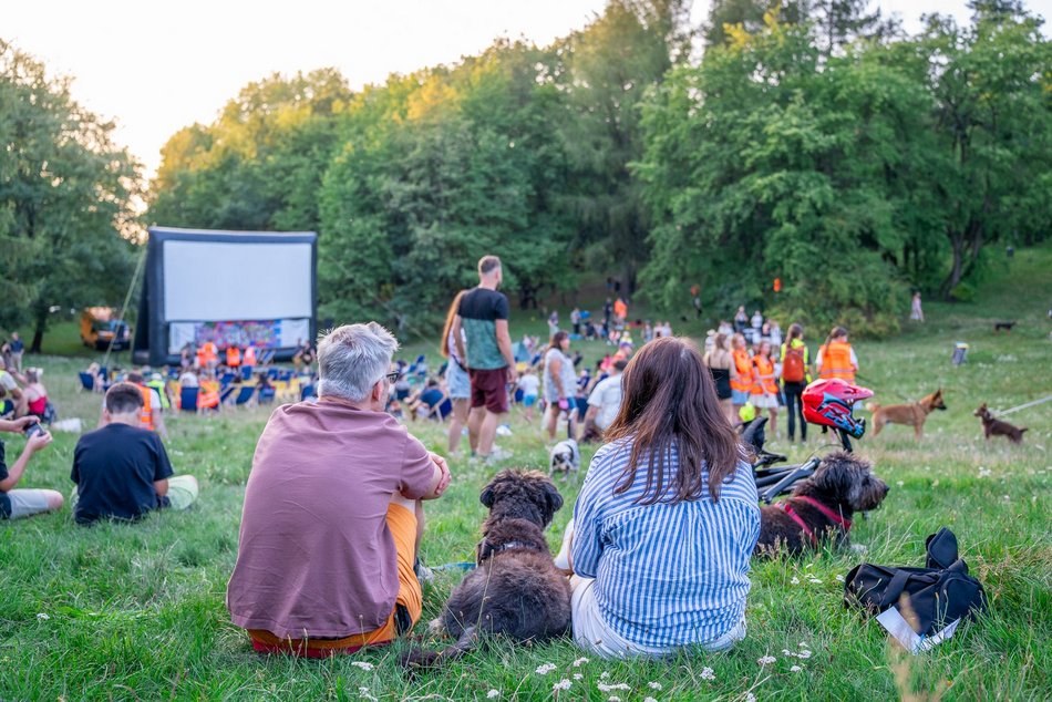 Łódź. Co robić w weekend w Łodzi? Ostatnia Polówka w sezonie, targ staroci, koncerty