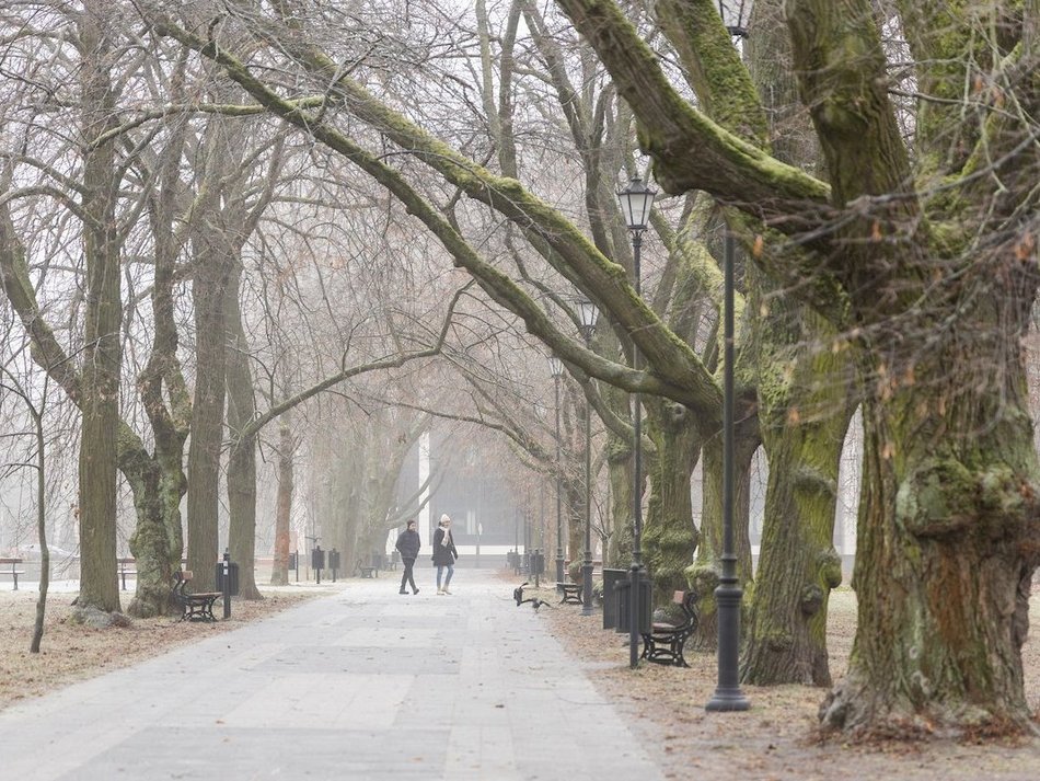 Łódź. Park Poniatowskiego