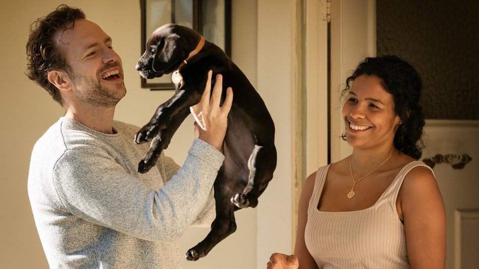 Łódź. Hity w telewizji w dniach 2-8 lutego. Przeczytaj rekomendacje od Toya, które filmy warto obejrzeć