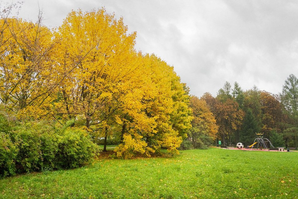 Łódź. Jesienne kadry z parków