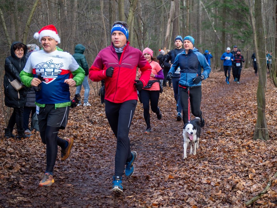 biegacze w lesie