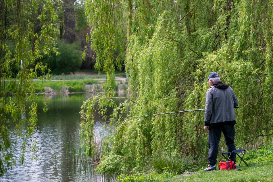 Gdzie na ryby w Łodzi? Parki i stawy znane doświadczonym wędkarzom