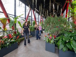Majówka w Orientarium Zoo Łódź. Nowa zniżka, melex tygrysek, malutki orangutan