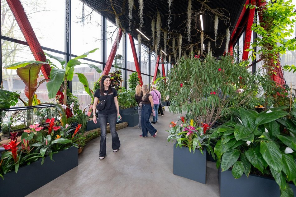 Majówka w Orientarium Zoo Łódź. Nowa zniżka, melex tygrysek, malutki orangutan