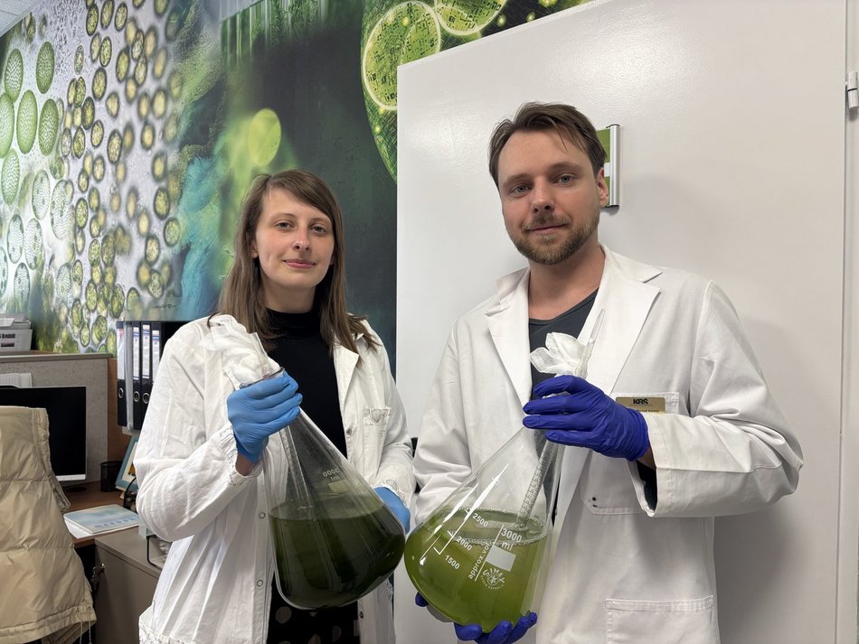 Łódź. Bioreaktor na Politechnice Łódzkiej. Czy mikroglony z rzek i stawów w Łodzi uratują nasze powietrze?