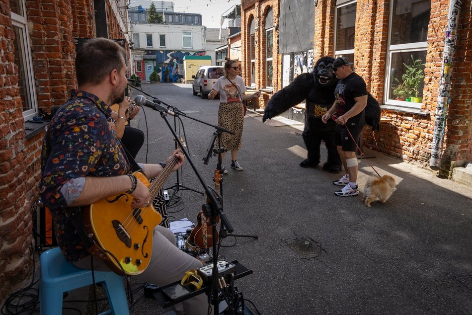 Łódź. Gastro dla schroniska w Łodzi. Tak się łączy miłość do jedzenia, muzyki i zwierząt!