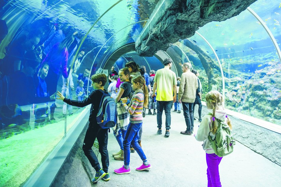 Łódź. Półkolonie w Orientarium Zoo Łódź. Poznawanie świata zwierząt, gry, zabawy i warsztaty