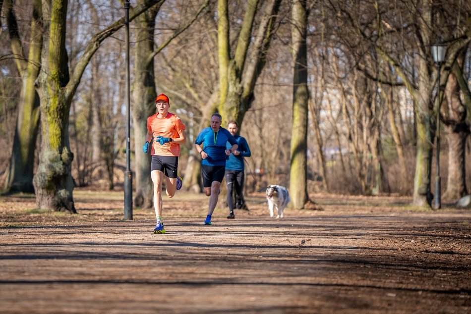 Łódź. Parkrun w Parku Poniatowskiego w Łodzi. Brałeś udział w biegu? Znajdź się na zdjęciach!