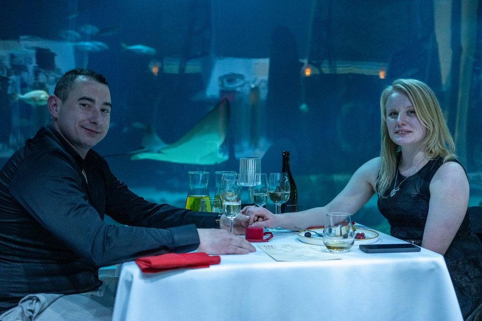 Łódź. Walentynki w Orientarium Zoo Łódź. Przysmaki, koncert na harfie i... zaręczyny