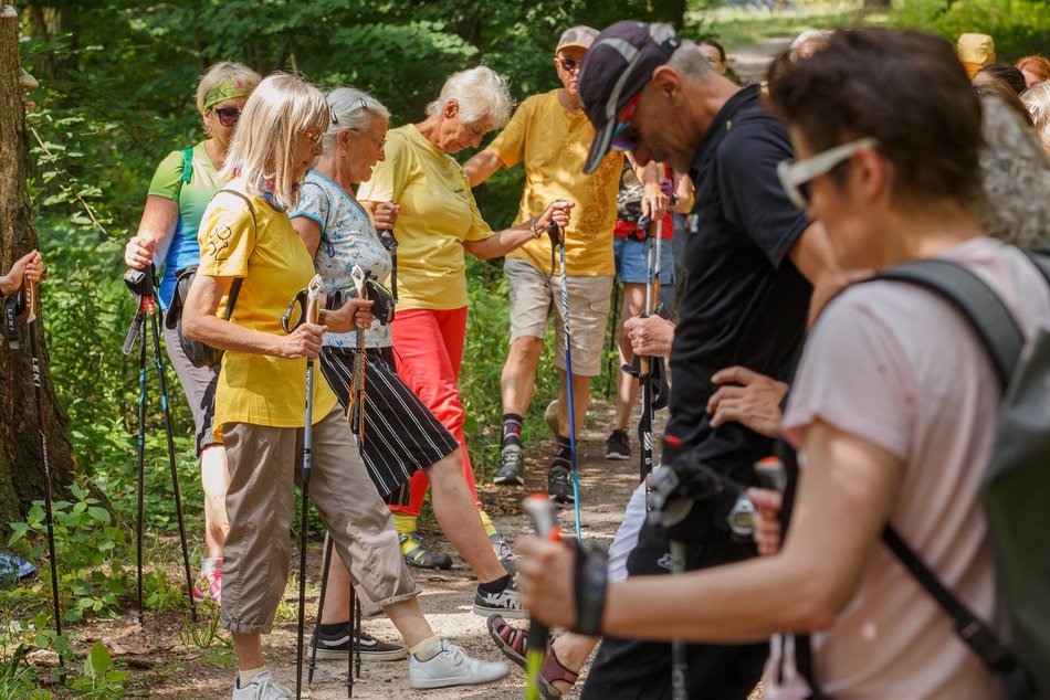 Nordic walking w Arturówku