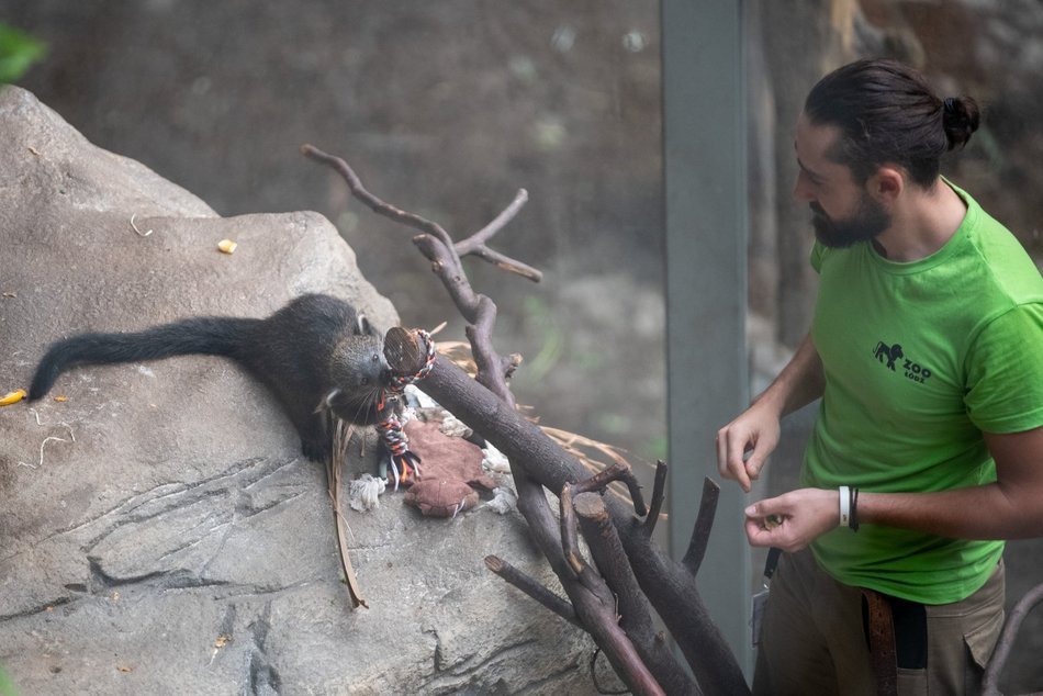 фото Paweł Łacheta