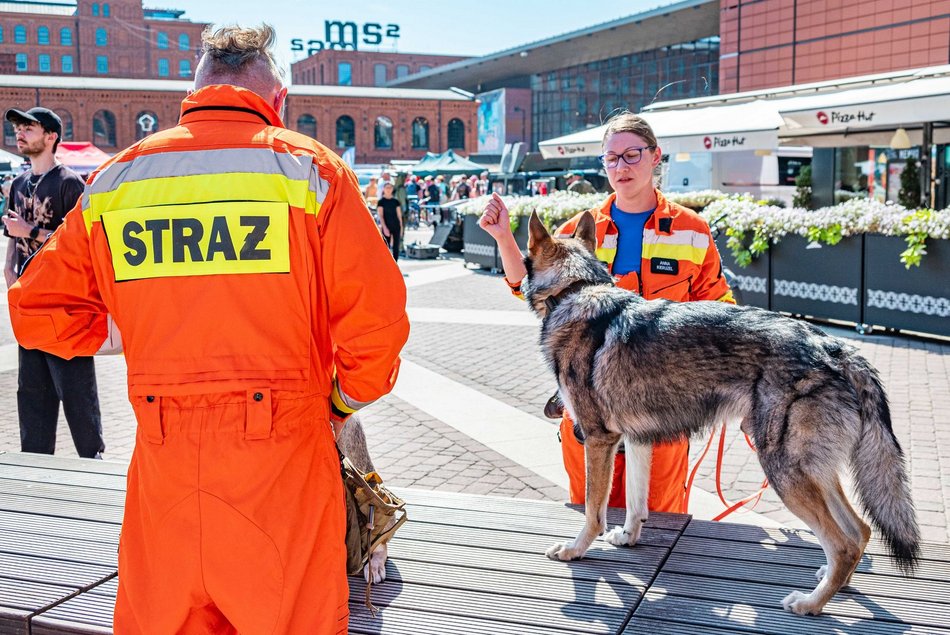 Piknik weterana w Manufakturze