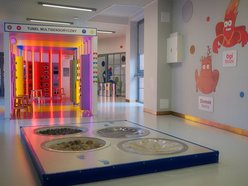 Łódź. Dzień Czystego Powietrza w Ulicy Żywiołów w Łodzi. Mnóstwo zabawy, nauki i inspiracji