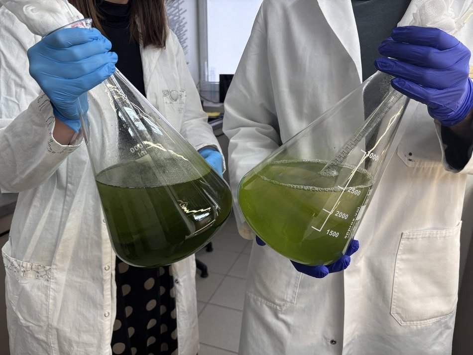 Łódź. Bioreaktor na Politechnice Łódzkiej. Czy mikroglony z rzek i stawów w Łodzi uratują nasze powietrze?