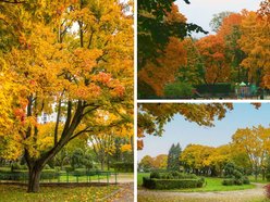 Łódź. Jesienne kadry z parków