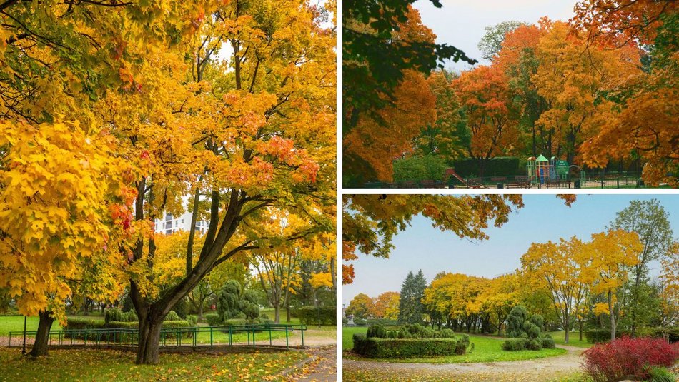 Łódź. Jesienne kadry z parków