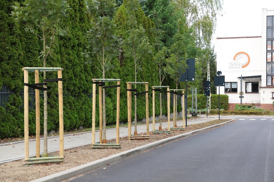 Łódź. ul. Krzywickiego po remoncie