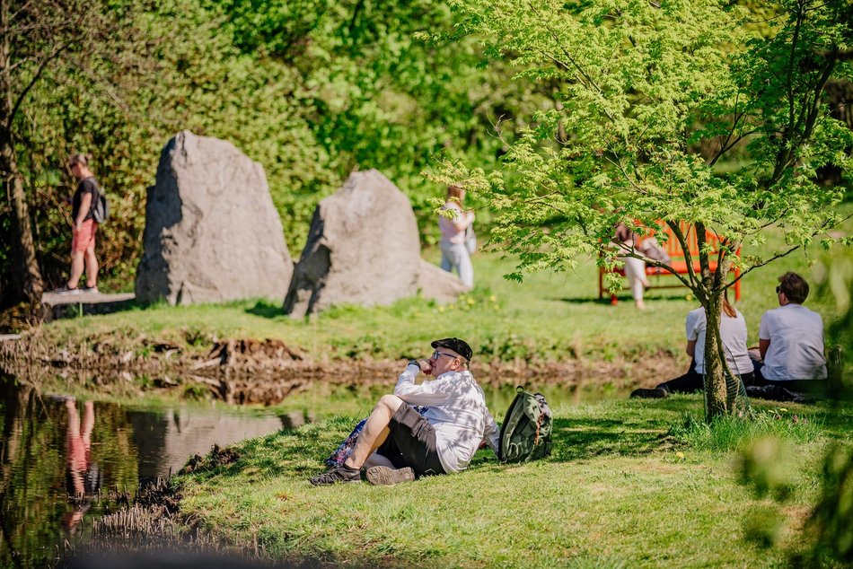 Łódź. Ogród Botaniczny w Łodzi w wiosennej odsłonie