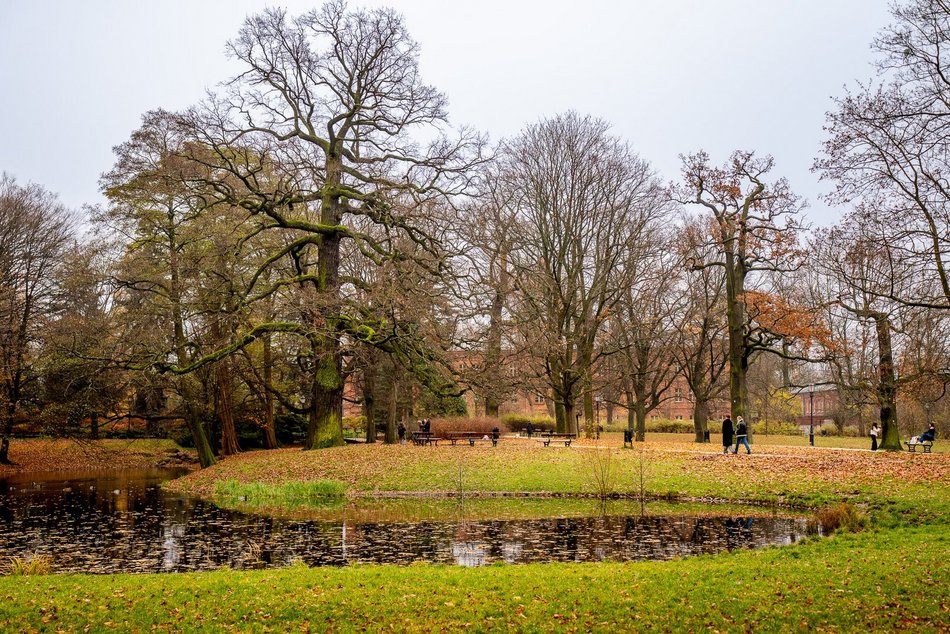 Łódź. Jesień w parku Źródliska