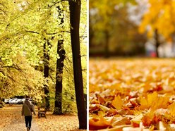 Łódź. Skwer Niemczyka w Łodzi wygląda zjawiskowo. Jesienne barwy nadają mu uroku