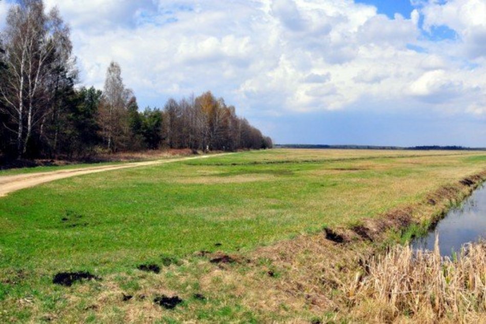 Łódź. TOP 11 atrakcji Spalskiego Parku Krajobrazowego. Natura, historia i przygoda w jednym