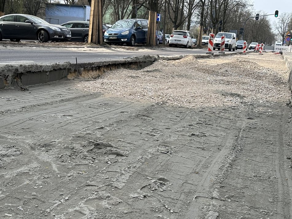 Łódź. Remont Wielkopolskiej. NIE dla drogi rowerowej między drzewami, TAK dla nowych parkingów!