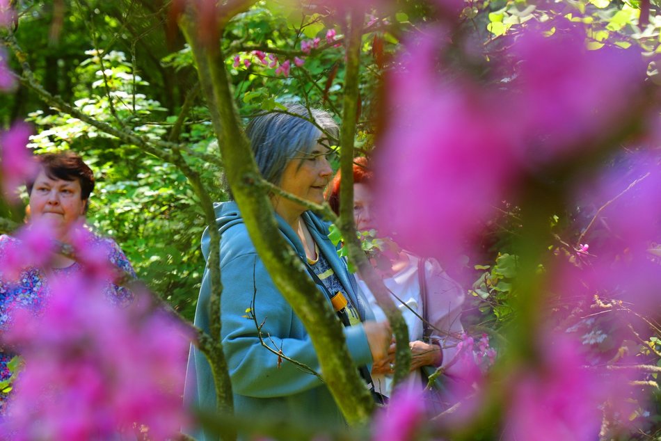 Ogród Botaniczny w Łodzi. Kwitnące rośliny