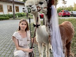 przygotowania do ślubu