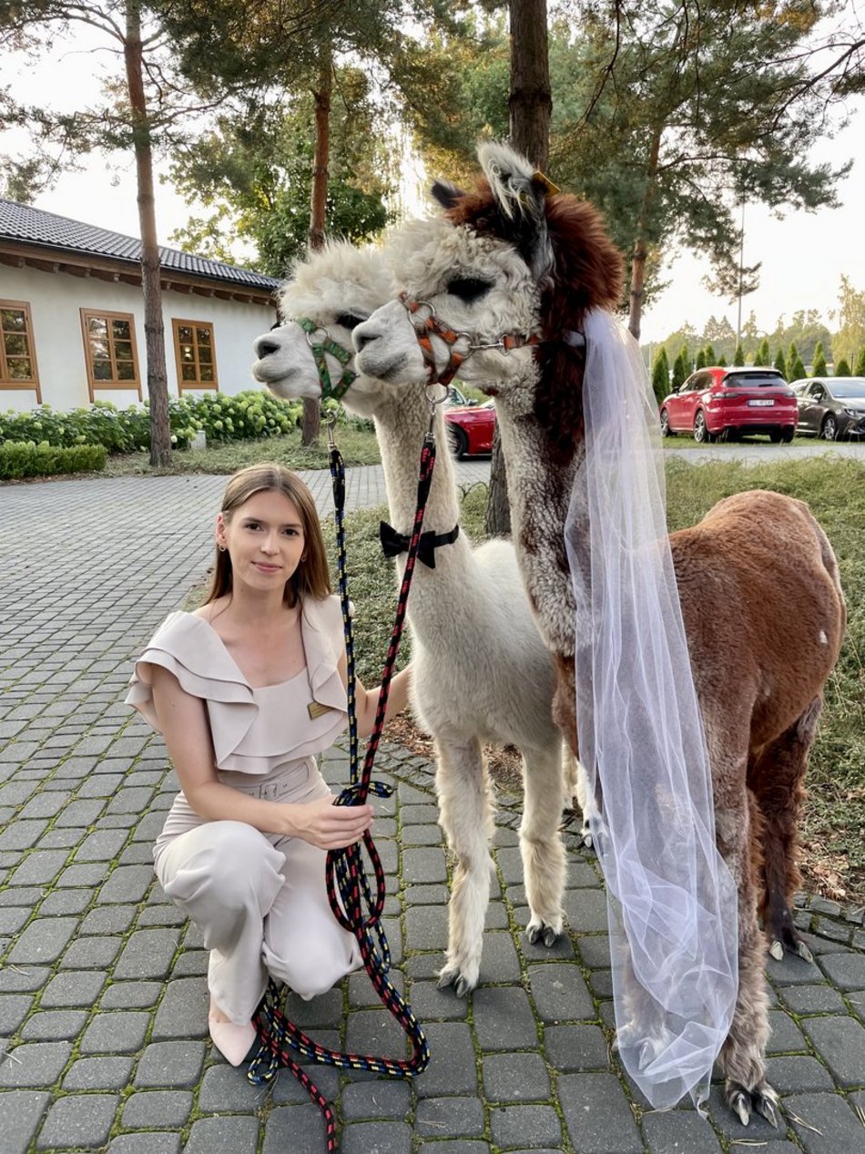 przygotowania do ślubu