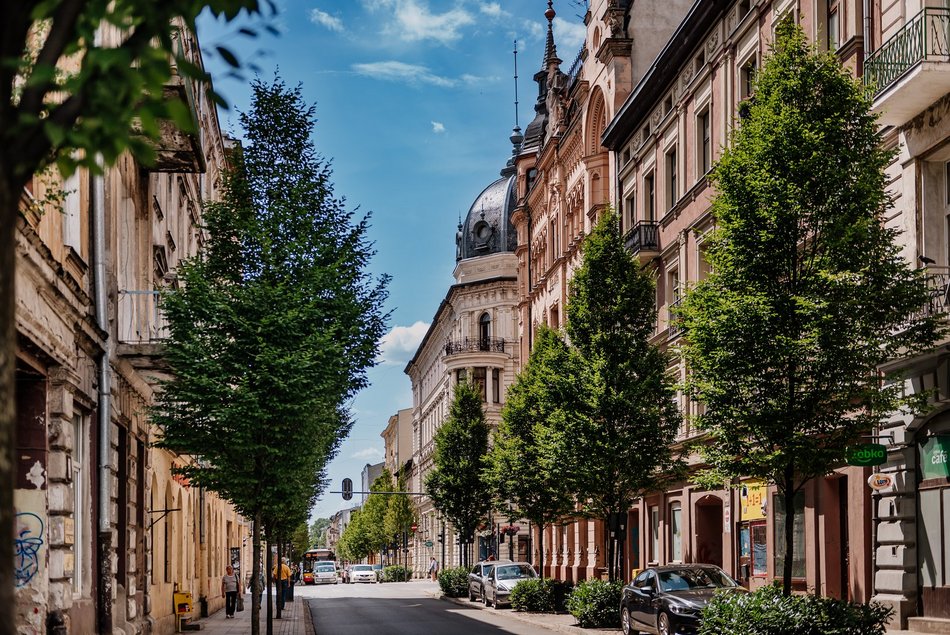 Ulica Rewolucji 1905 r. w Łodzi - szpaler drzew