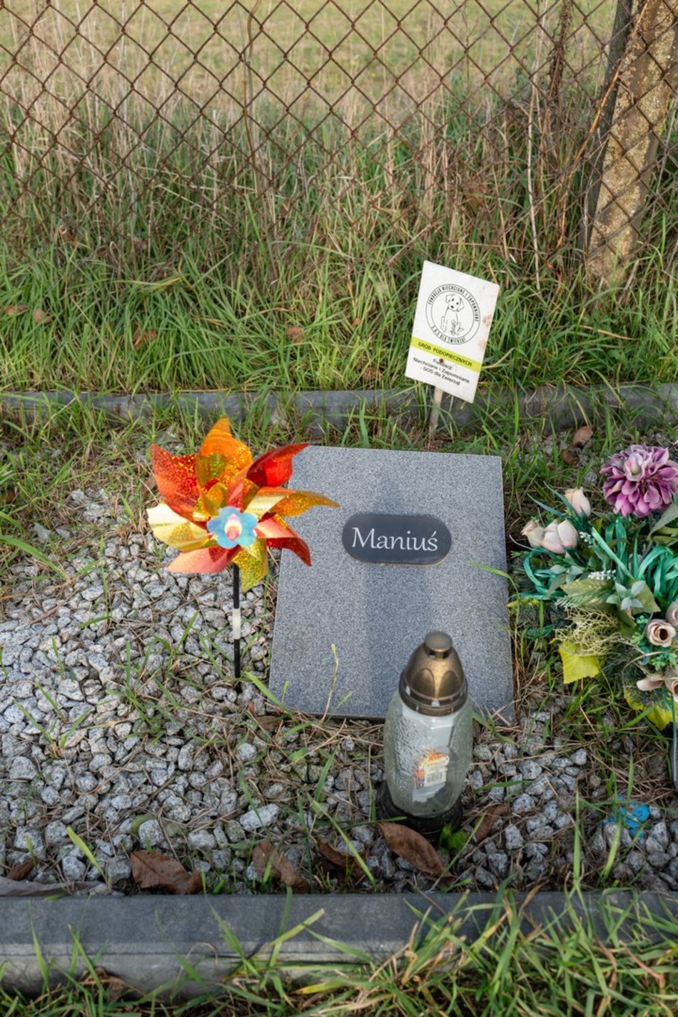 Cmentarz dla zwierząt w Łodzi