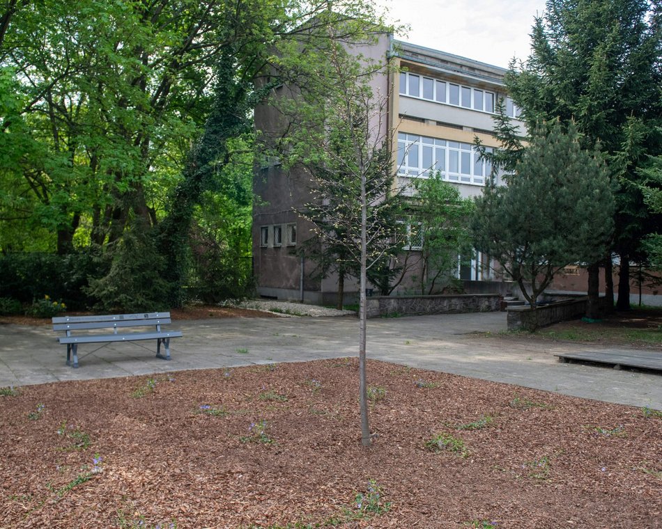 Łódź. Nietypowy ogród w XXIII LO w Łodzi. Powstał z materiałów z recyklingu