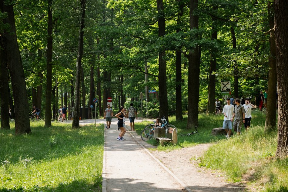Łodź. Arturówek
