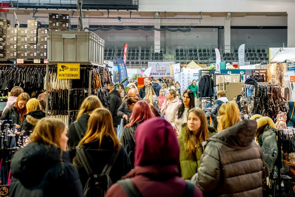 Łódź. Cavaliada Tour w Atlas Arenie w Łodzi wystartowała! Zobacz zdjęcia z pierwszego dnia zmagań