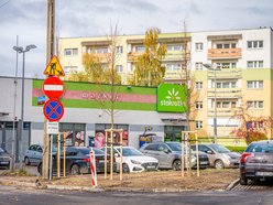 Łódź. Nowe drzewa przy Ciołkowskiego w Łodzi. Oczyszczą powietrze i upiększą okolicę