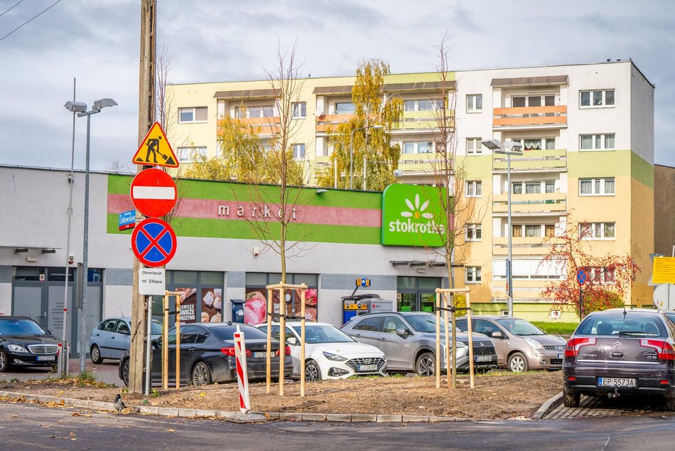 Łódź. Nowe drzewa przy Ciołkowskiego w Łodzi. Oczyszczą powietrze i upiększą okolicę