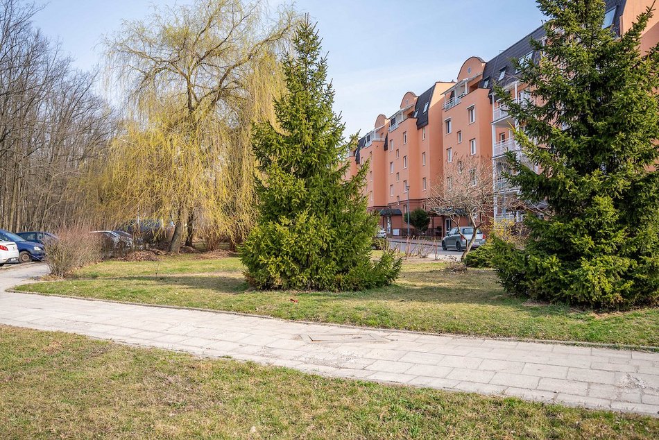 Łódź. Nowa siłownia plenerowa na Olechowie. Mieszkańcy zyskają miejsce do spędzenia wolnego czasu