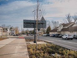 Łódź. Śliwy i lipy ozdobiły Rojną w Łodzi. To część wielkiej akcji sadzenia drzew w mieście