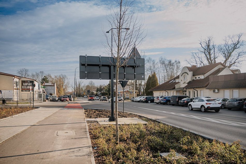 Łódź. Śliwy i lipy ozdobiły Rojną w Łodzi. To część wielkiej akcji sadzenia drzew w mieście