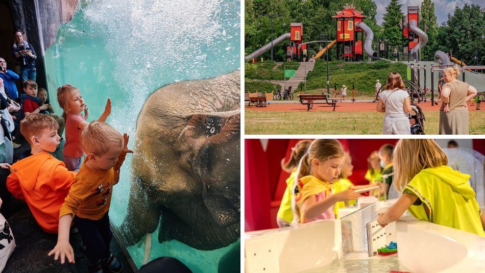 Łódź. TOP 6 miejsc dla przedszkolaków w Łodzi. Świetna zabawa i edukacja gwarantowane!