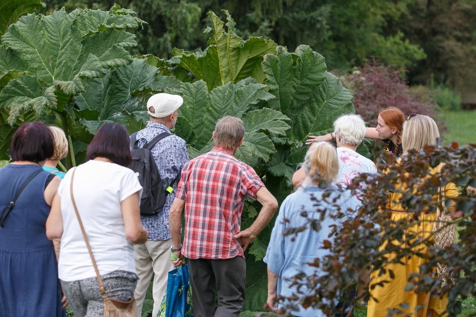 Warsztaty dendrologiczne w Ogrodzie Botanicznym w Łodzi